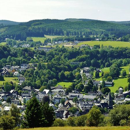 Ferienhaus Diemelquelle - Mit Eingezaeuntem Garten Willingen  Exterior photo
